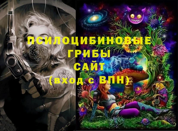 марки lsd Бородино