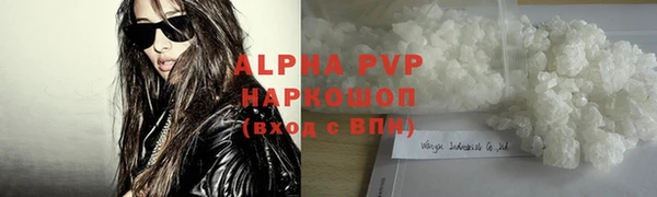 твердый Богданович