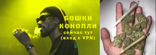 твердый Богданович