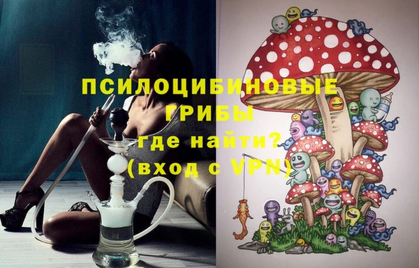 бошки Богородск