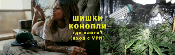 твердый Богданович